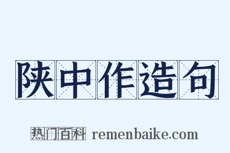 陕中作造句是什么意思的图片